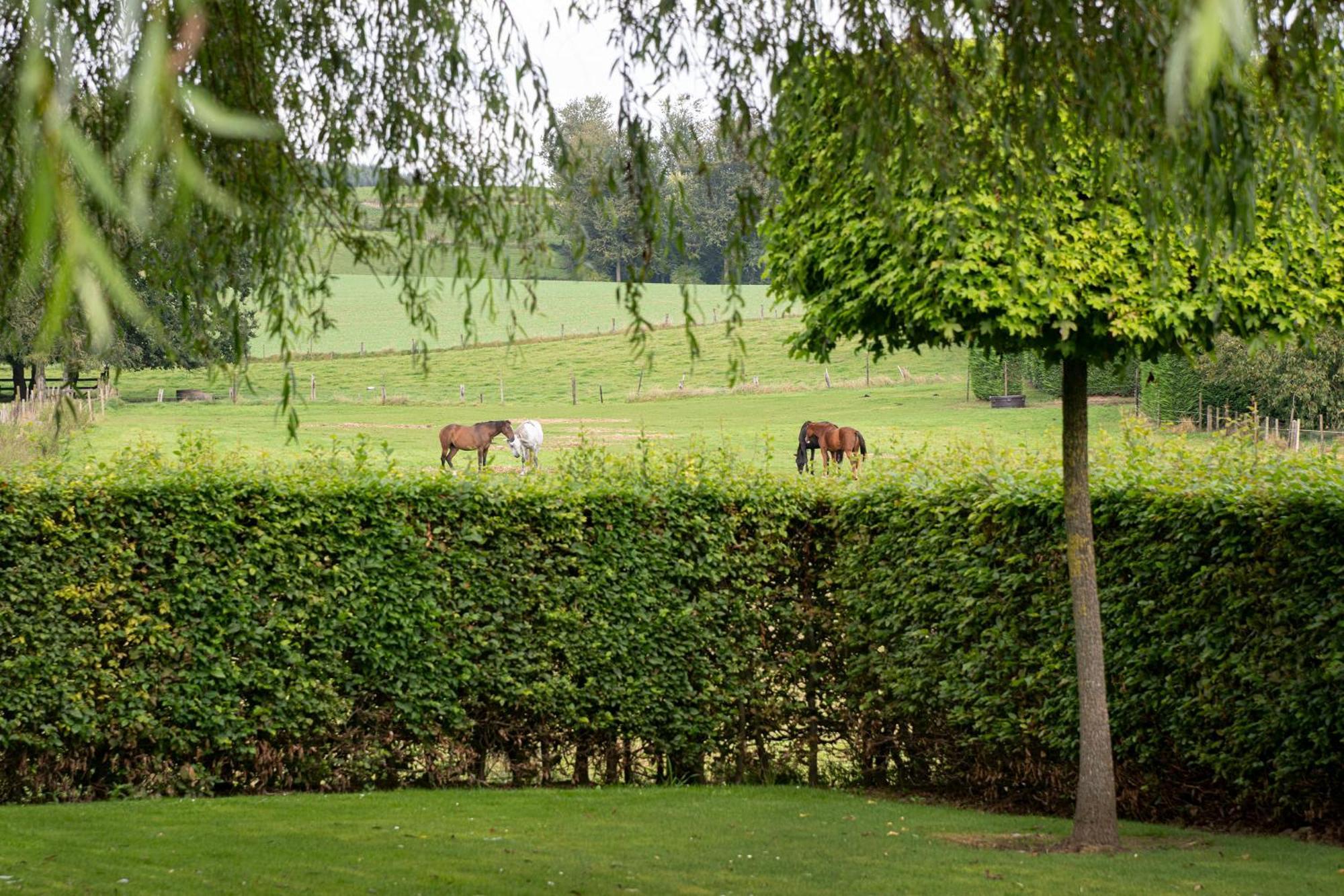 B&B Bertem Natuur Екстер'єр фото